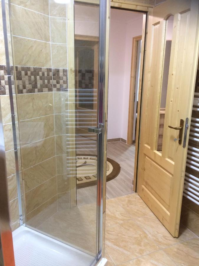 Vila Floarea De Colt Lägenhet Borşa Exteriör bild