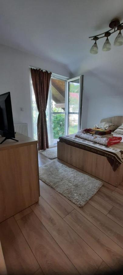 Vila Floarea De Colt Lägenhet Borşa Exteriör bild