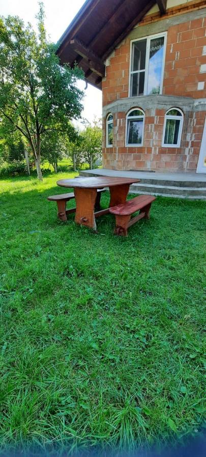 Vila Floarea De Colt Lägenhet Borşa Exteriör bild